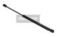 MAXGEAR Gasfeder, Koffer-/Laderaum 12-1795