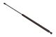 MAXGEAR Gasfeder, Koffer-/Laderaum 12-1800