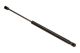 MAXGEAR Gasfeder, Koffer-/Laderaum 12-1801