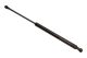 MAXGEAR Gasfeder, Koffer-/Laderaum 12-1802