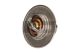 MAXGEAR Thermostat, Kühlmittel 67-0077