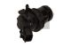 MAXGEAR Waschwasserpumpe, Scheibenreinigung 45-0048
