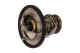 MAXGEAR Thermostat, Kühlmittel 67-0079