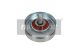 MAXGEAR Spannrolle, Keilrippenriemen 54-1397