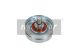 MAXGEAR Spannrolle, Keilrippenriemen 54-1417