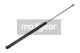 MAXGEAR Gasfeder, Koffer-/Laderaum 12-0128