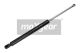 MAXGEAR Gasfeder, Koffer-/Laderaum 12-0134