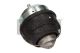 MAXGEAR Lagerung, Motor 40-0034