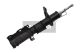 MAXGEAR Stoßdämpfer 11-0362