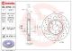BREMBO Bremsscheibe 09.8760.1X