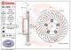 BREMBO Bremsscheibe 09.D931.11