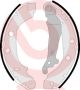 BREMBO Bremsbackensatz S 56 509