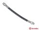 BREMBO Bremsschlauch T 06 031