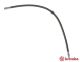 BREMBO Bremsschlauch T 06 039