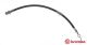 BREMBO Bremsschlauch T 10 008