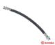 BREMBO Bremsschlauch T 15 001