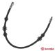 BREMBO Bremsschlauch T 23 064