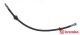 BREMBO Bremsschlauch T 23 185