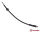BREMBO Bremsschlauch T 23 198