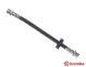 BREMBO Bremsschlauch T 24 036