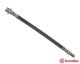 BREMBO Bremsschlauch T 24 037