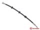 BREMBO Bremsschlauch T 24 038