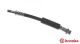 BREMBO Bremsschlauch T 24 126