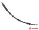 BREMBO Bremsschlauch T 24 140