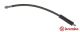BREMBO Bremsschlauch T 50 051
