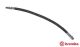 BREMBO Bremsschlauch T 50 052