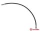 BREMBO Bremsschlauch T 50 063