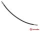 BREMBO Bremsschlauch T 50 067