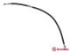 BREMBO Bremsschlauch T 56 150