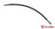 BREMBO Bremsschlauch T 61 064