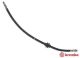 BREMBO Bremsschlauch T 68 091