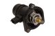 MAXGEAR Thermostat, Kühlmittel 67-0080
