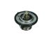 MAXGEAR Thermostat, Kühlmittel 67-0096