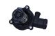 MAXGEAR Thermostat, Kühlmittel 67-0104