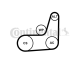 CONTINENTAL CTAM Keilrippenriemensatz 6PK1019 ELAST T2
