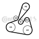 CONTINENTAL CTAM Keilrippenriemensatz 6PK1502 EXTRA K1