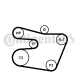 CONTINENTAL CTAM Keilrippenriemensatz 6PK1538K1