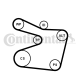 CONTINENTAL CTAM Wasserpumpe + Keilrippenriemensatz 6PK1555WP1