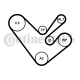 CONTINENTAL CTAM Keilrippenriemensatz 6PK1555K4