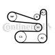 CONTINENTAL CTAM Wasserpumpe + Keilrippenriemensatz 6PK1693WP1