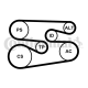 CONTINENTAL CTAM Keilrippenriemensatz 6PK1698K1