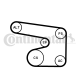 CONTINENTAL CTAM Keilrippenriemensatz 6PK1900K1