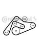 CONTINENTAL CTAM Keilrippenriemensatz 6PK2404K1