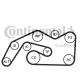 CONTINENTAL CTAM Keilrippenriemensatz 6PK2490K1