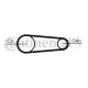 CONTINENTAL CTAM Keilrippenriemensatz 6PK842 ELAST T1