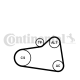 CONTINENTAL CTAM Wasserpumpe + Keilrippenriemensatz 6PK905 EXTRA WP1